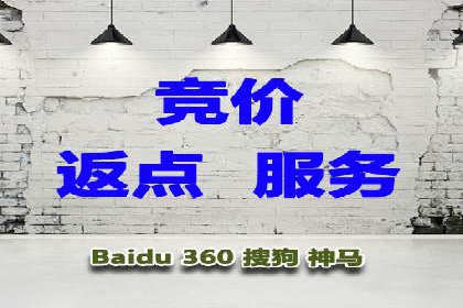 案例研究：百度推广托管助力电商品牌快速崛起